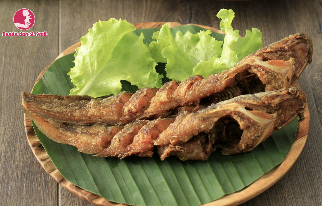 Ikan Lele untuk MPASI: Sumber Gizi Tinggi yang Aman dan Bernutrisi